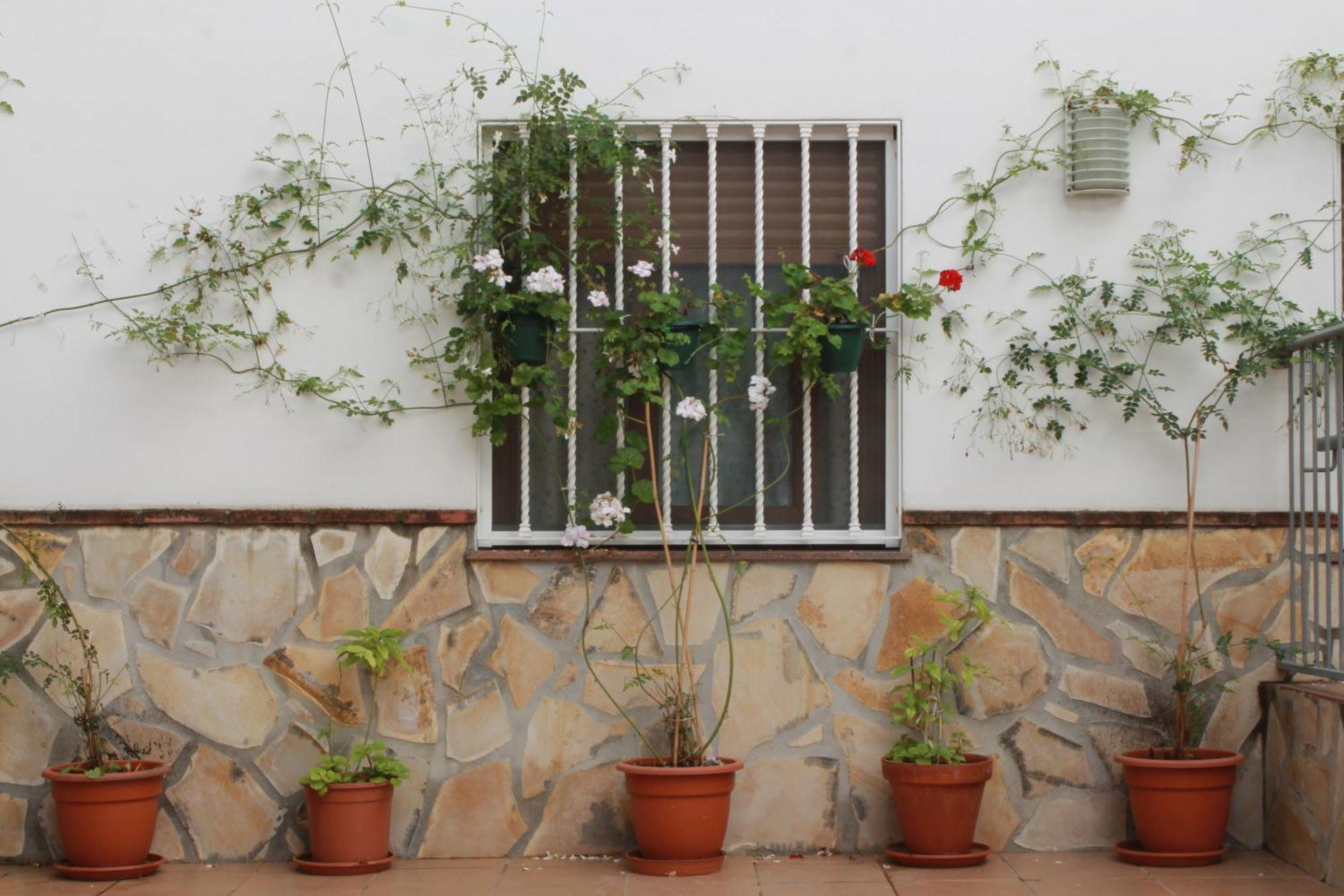 Casa Secreta Velez-Malaga Centro Apartment Exterior photo
